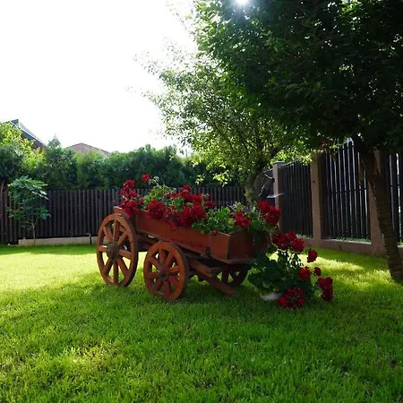 Pensiunea Grand Ефоріє-Норд